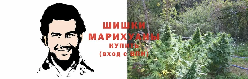 как найти наркотики  Николаевск-на-Амуре  это официальный сайт  Каннабис AK-47 